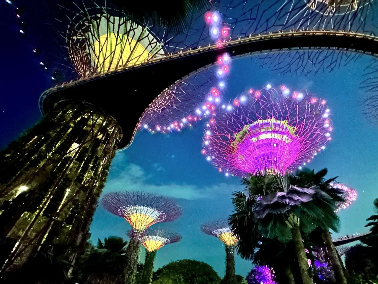 Gardens-by-the-Bay-12