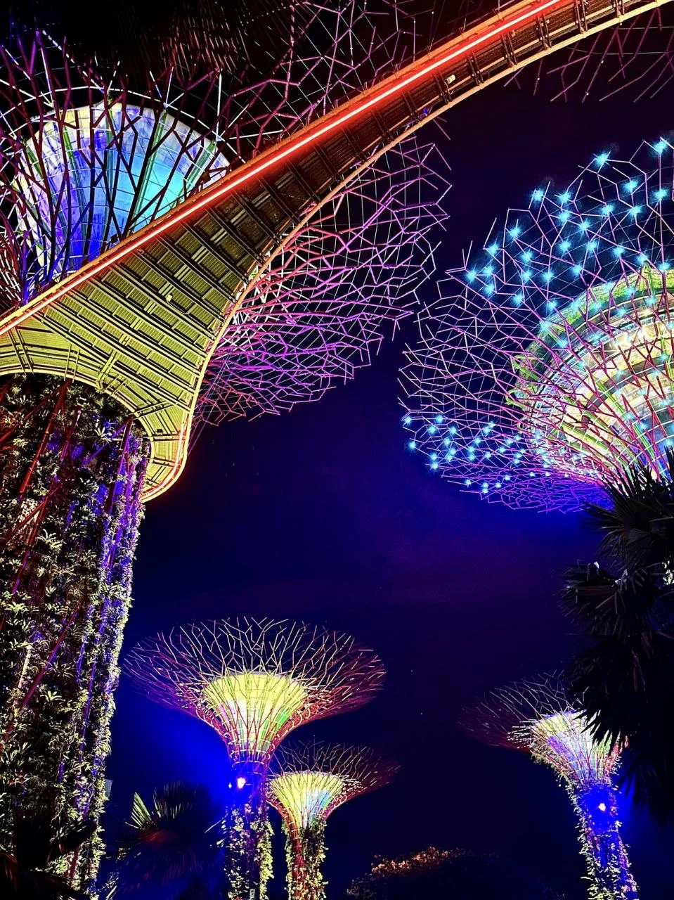 Gardens-by-the-Bay-15