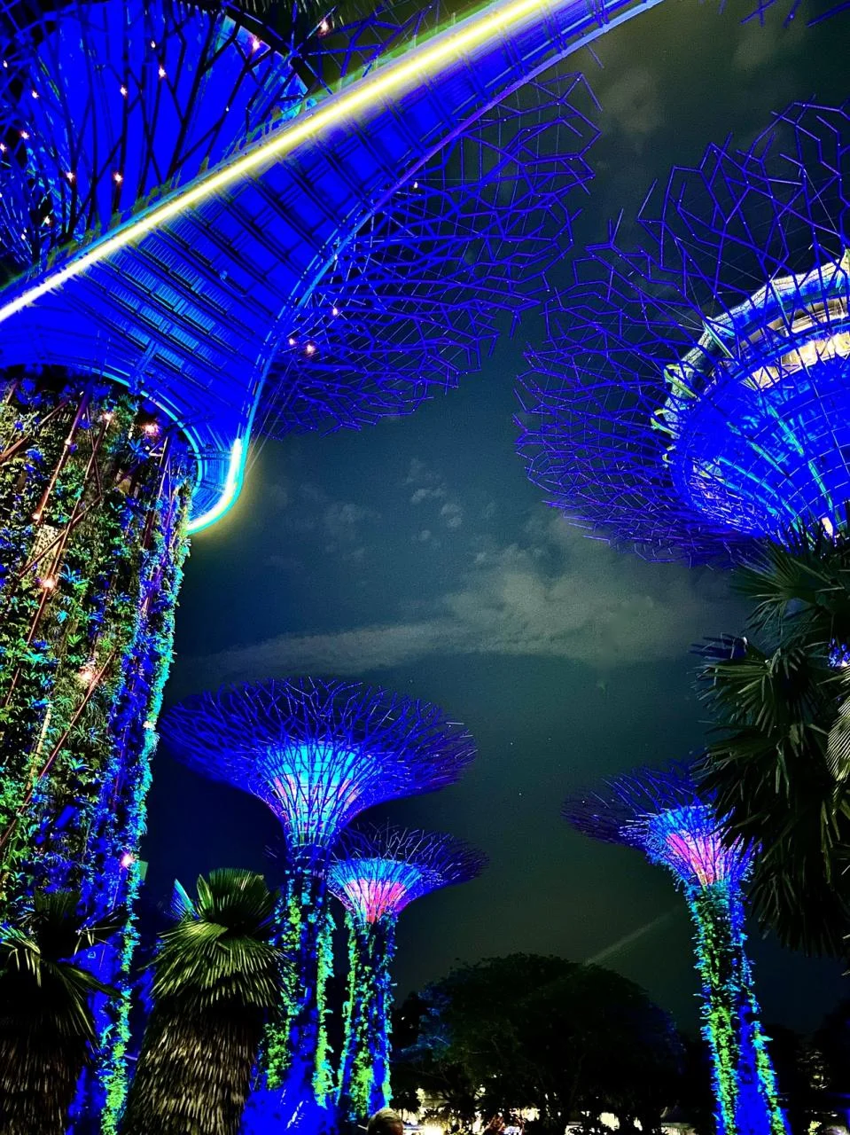 Gardens-by-the-Bay-16