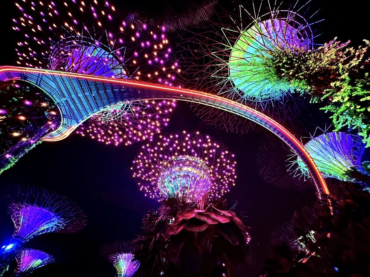 Gardens-by-the-Bay-18