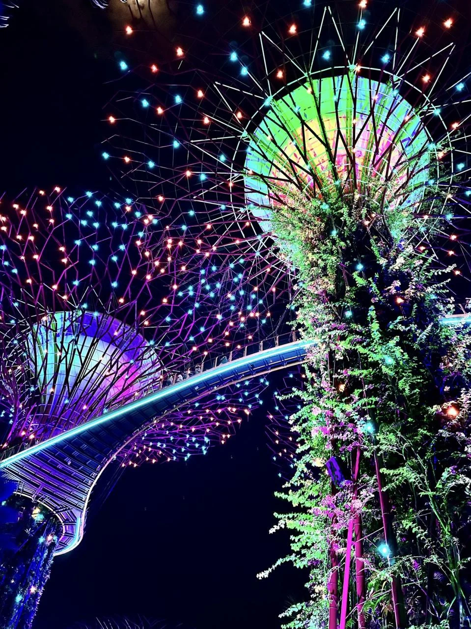 Gardens-by-the-Bay-19