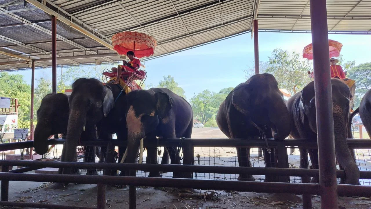 Wat-Chaiwatthanaram-18