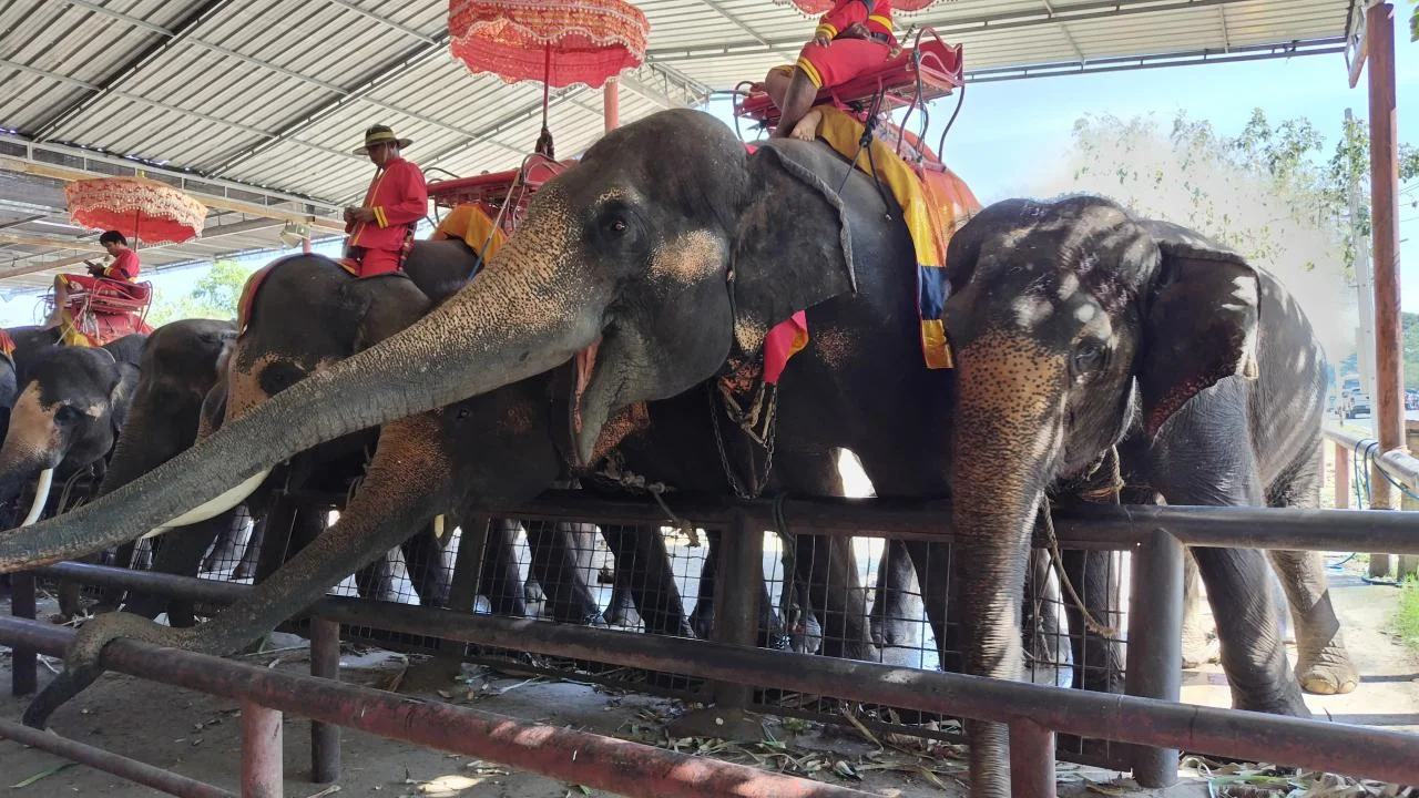 Wat-Chaiwatthanaram-19