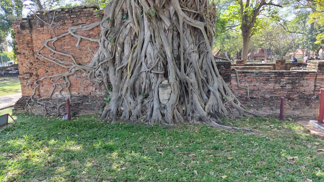 Wat-Chaiwatthanaram-20