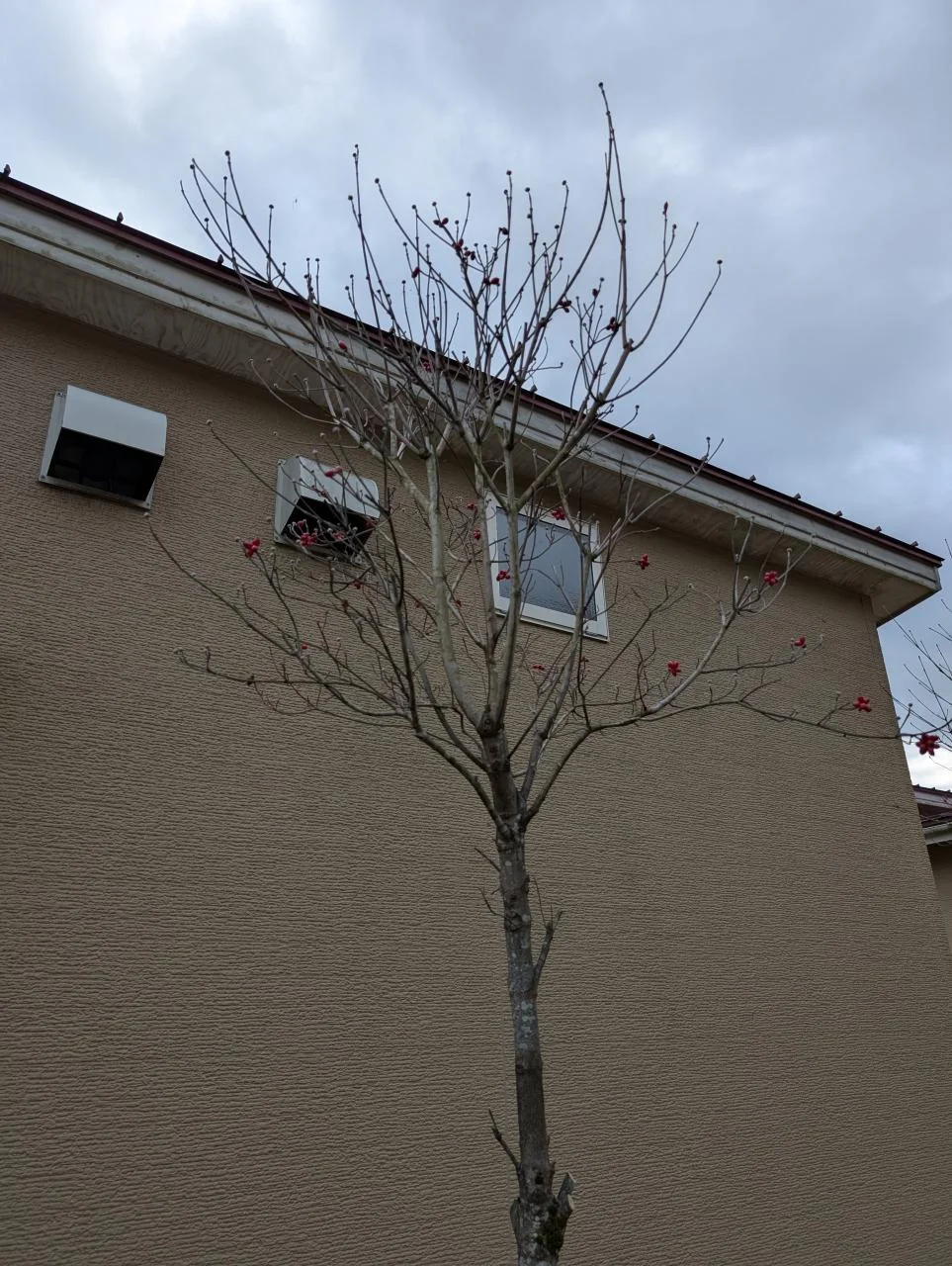 ทางเดินในห้อง