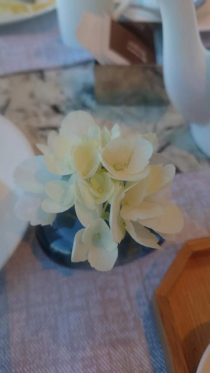 札幌市資料館展覽