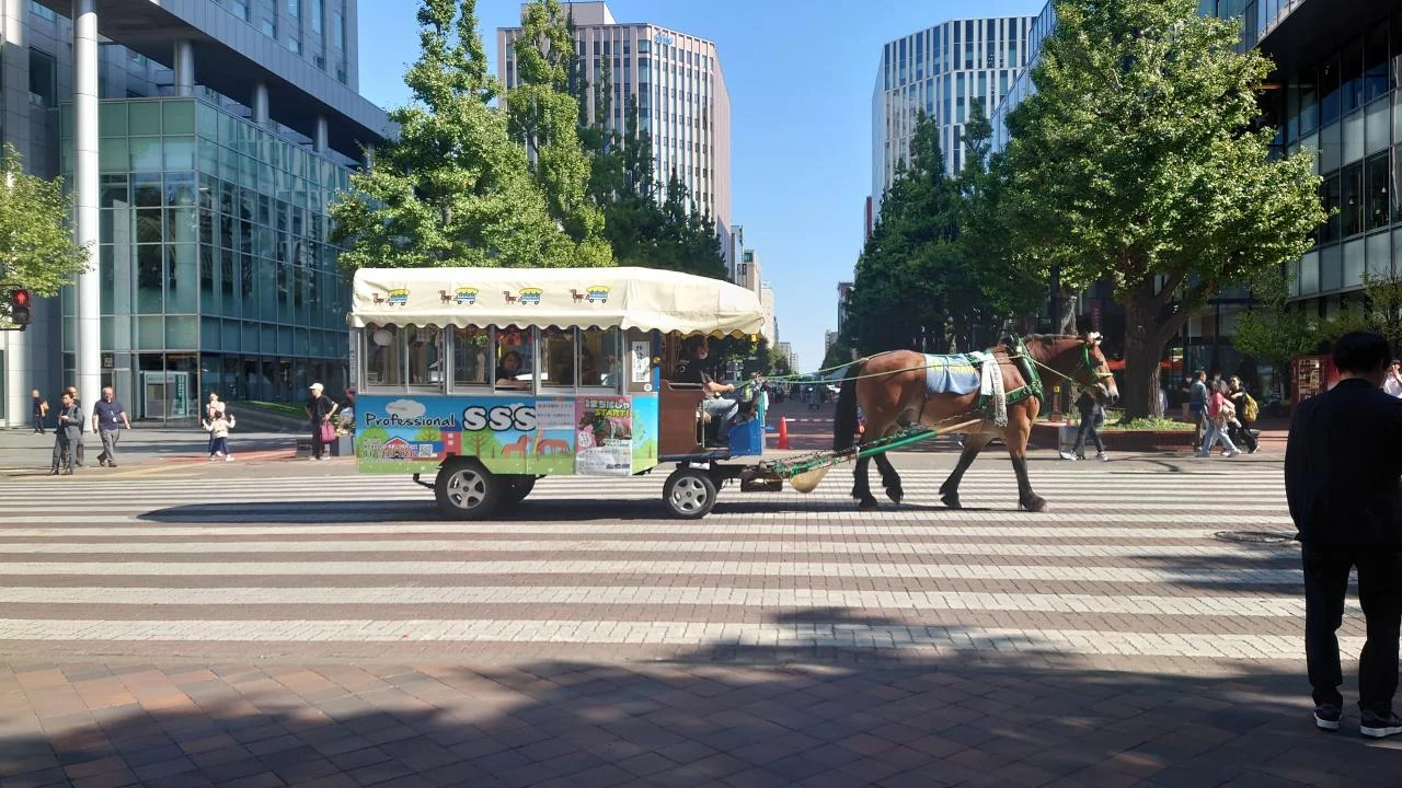 Sapporo city street view following Sapporo InterContinental Hotel Junior Suite Twin Room Stay Review