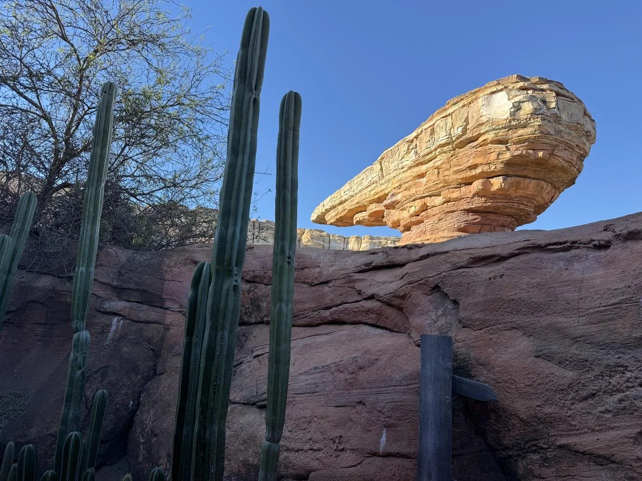 カーズランドの夜景