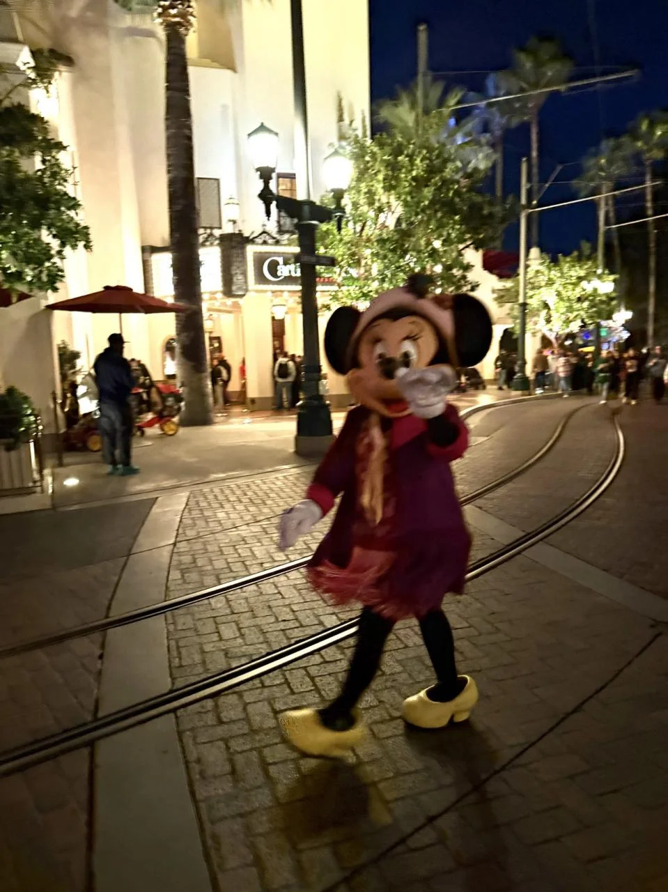 夜のカリフォルニア・アドベンチャー