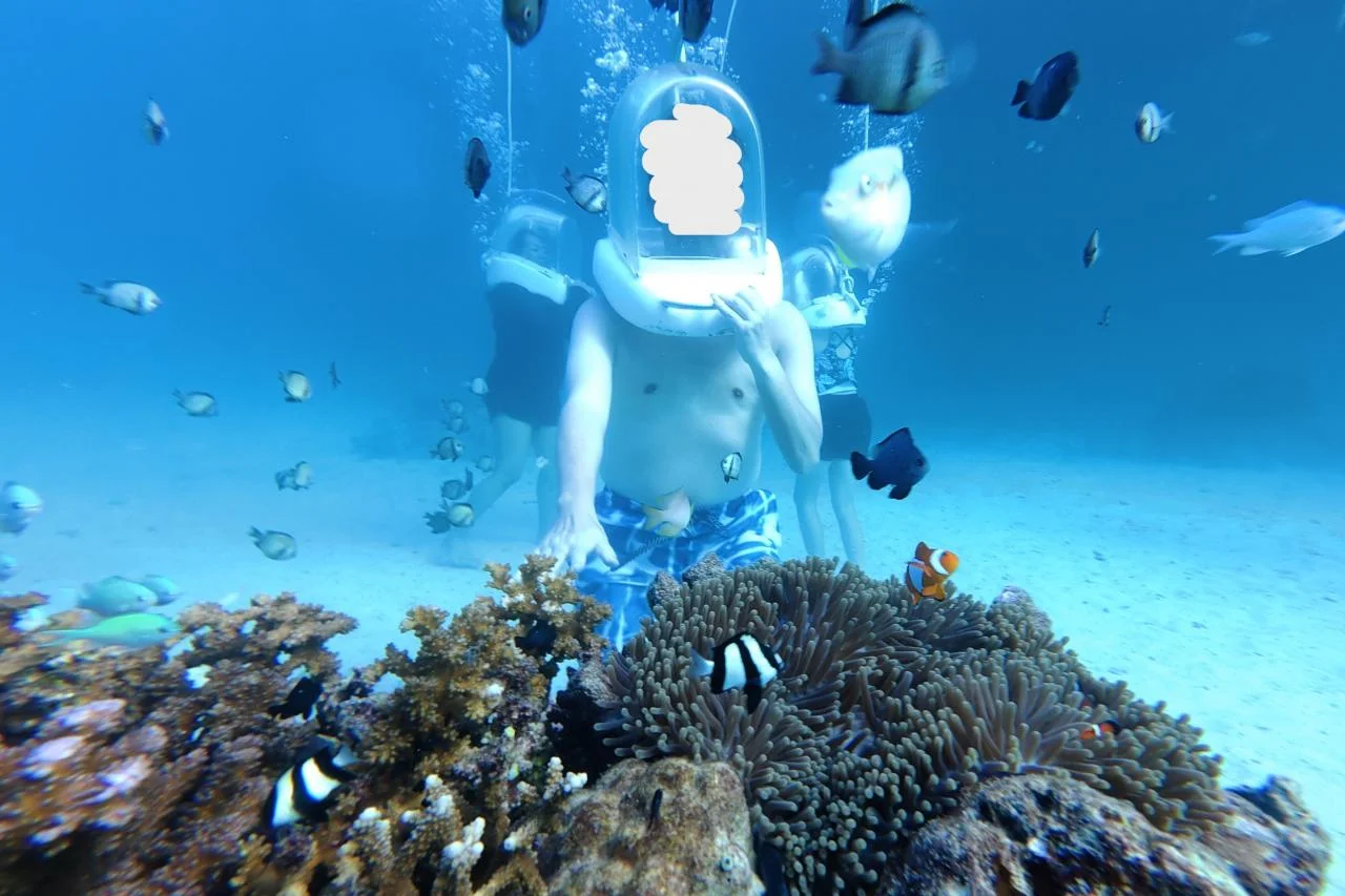 长滩岛登岛指南福朋喜来登酒店旅行体验 吊床椰子汁