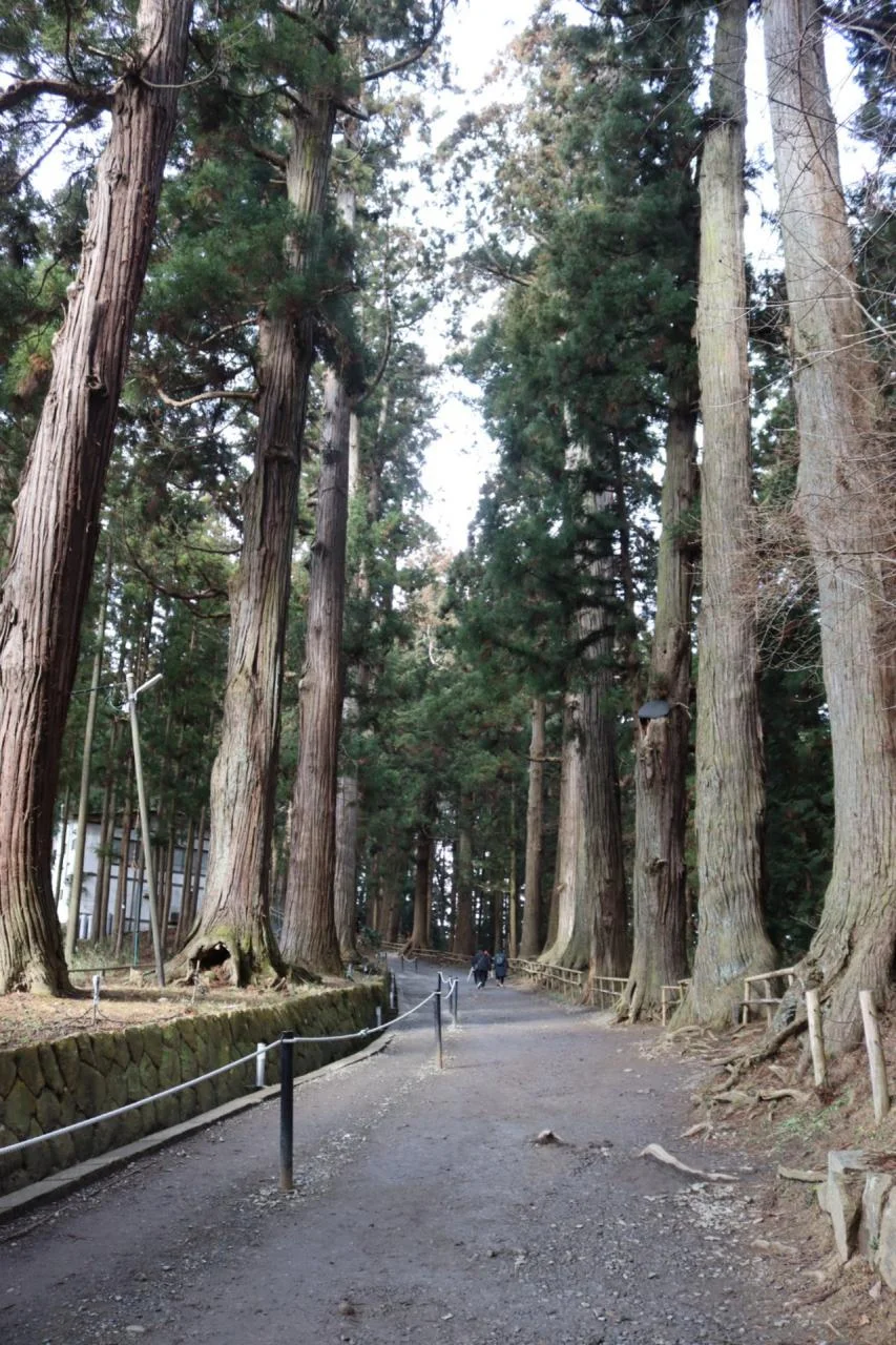 ทางเข้าสู่บริเวณวัด