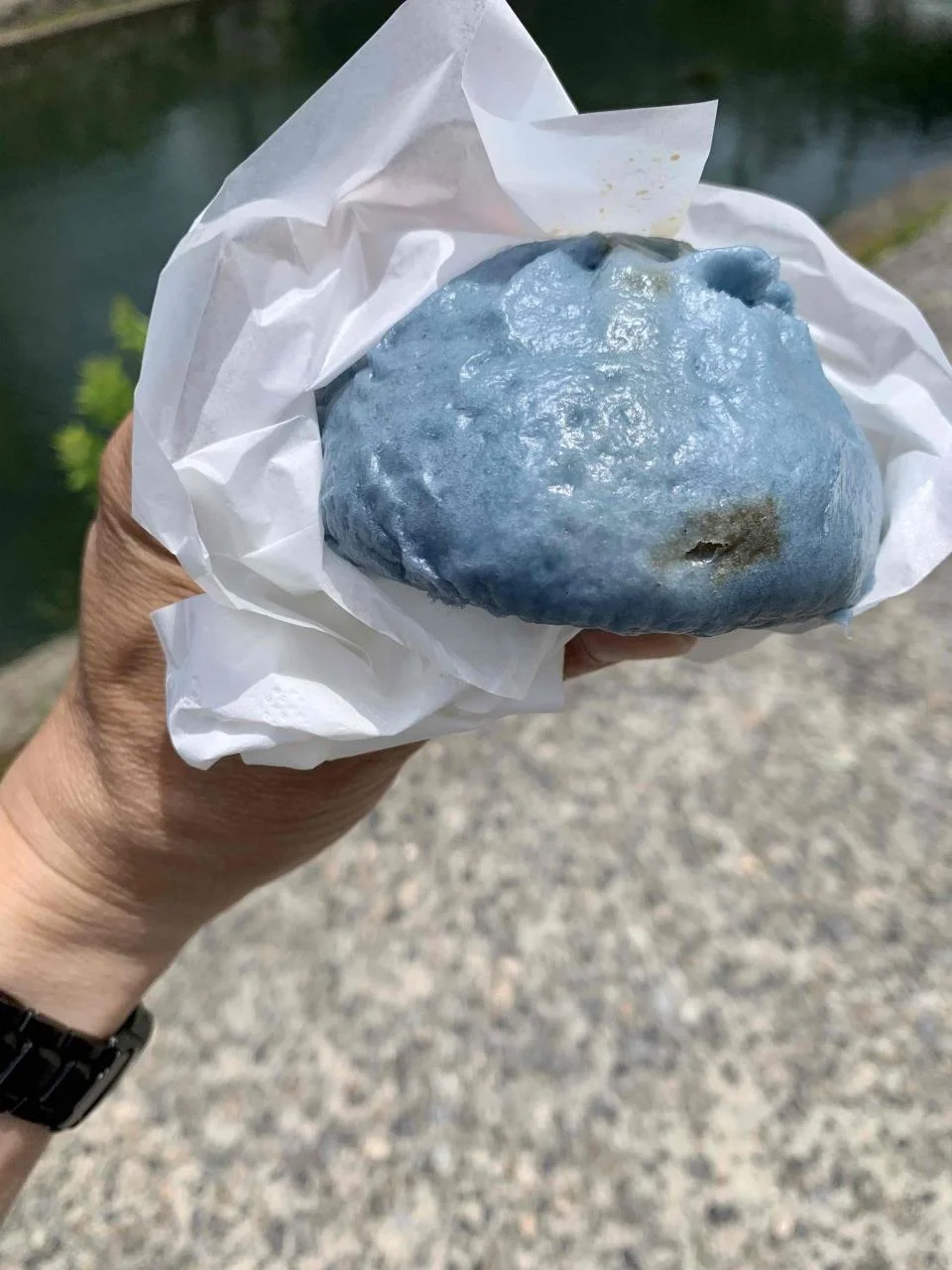 大原美术馆和常春藤