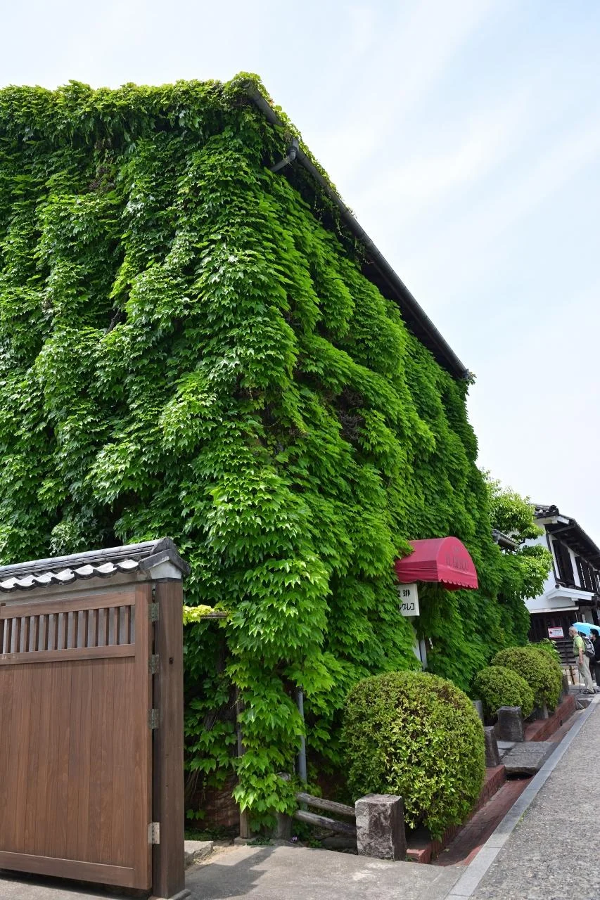 仓敷的白墙建筑