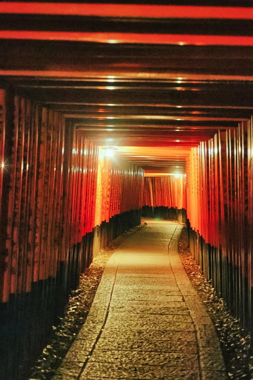겨울 교토 여행 후시미이나리, 기요미즈테라 센본 토리이 터널