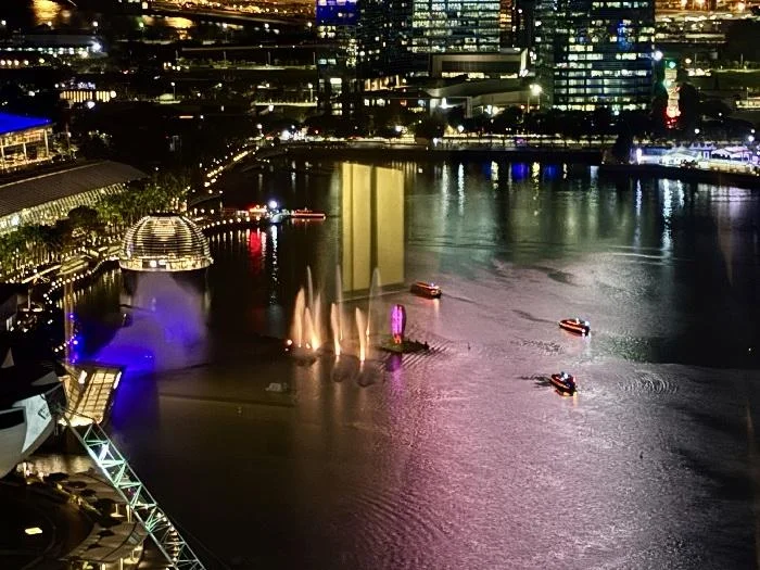 新加坡丽思卡尔顿美年酒店行政酒廊入住体验 鸡尾酒服务