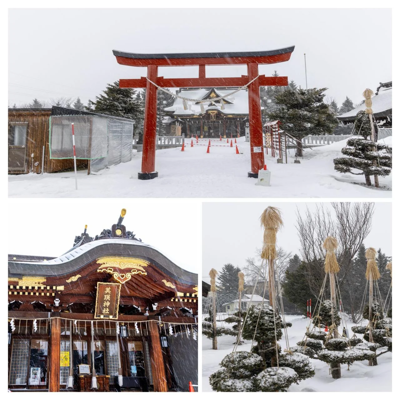 Phottage Inn Biei ฐานทัพ จุดถ่ายรูปซัปโปโร บิเอะ 2 วัน 1 คืน พร้อมช่างภาพ