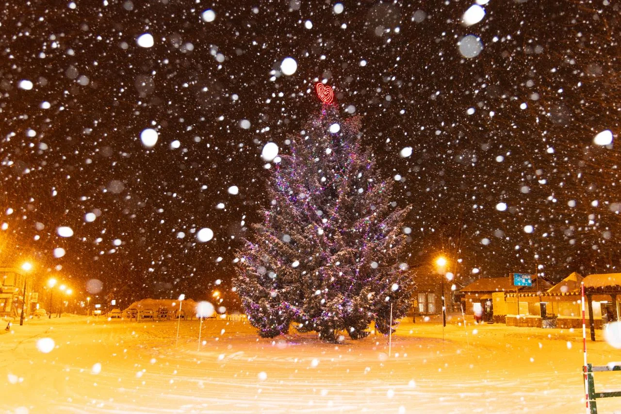 อาหารแนะนำบิเอะ