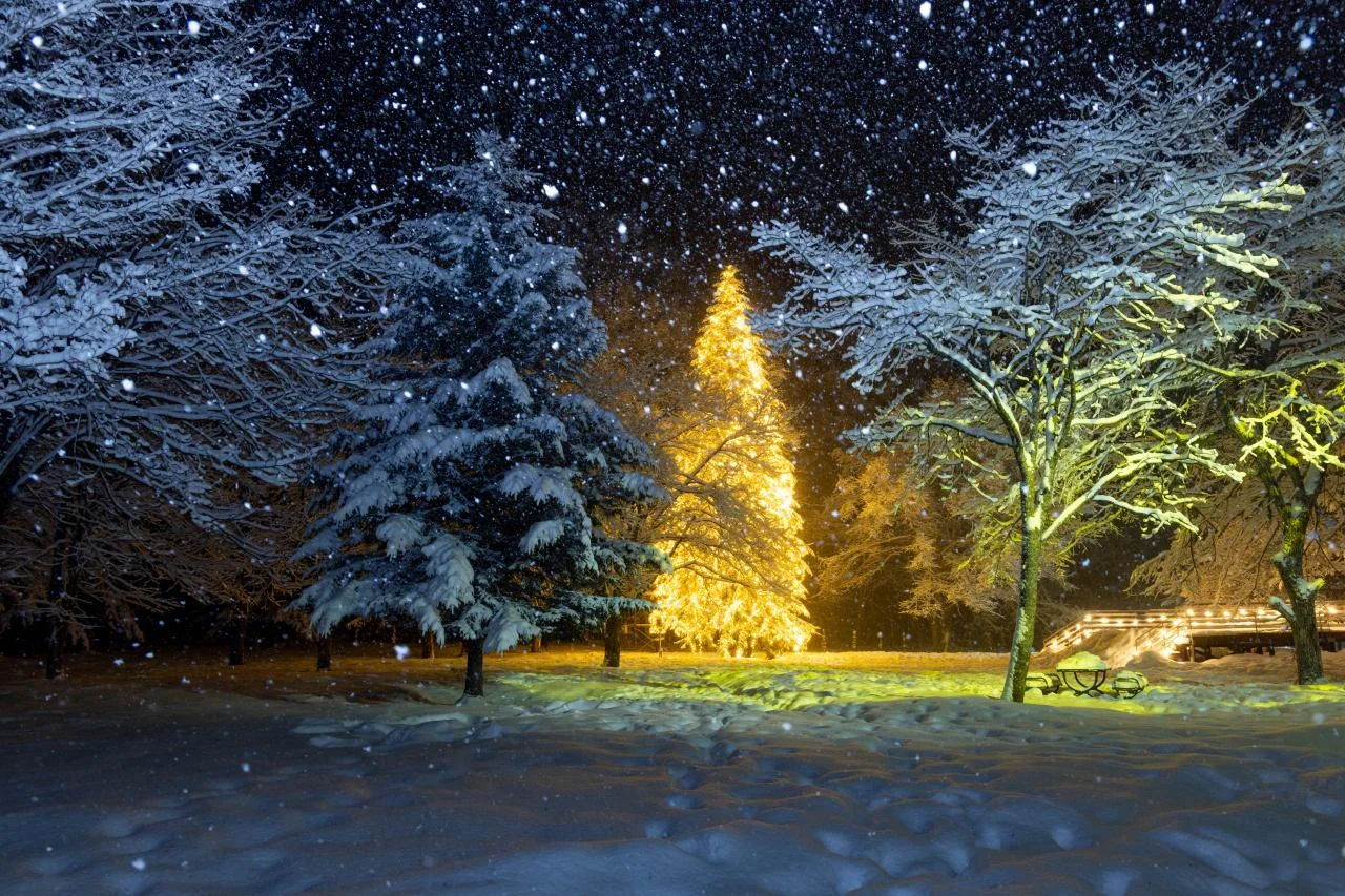 แกงกะหรี่อร่อยในอาซาฮิคาวะ