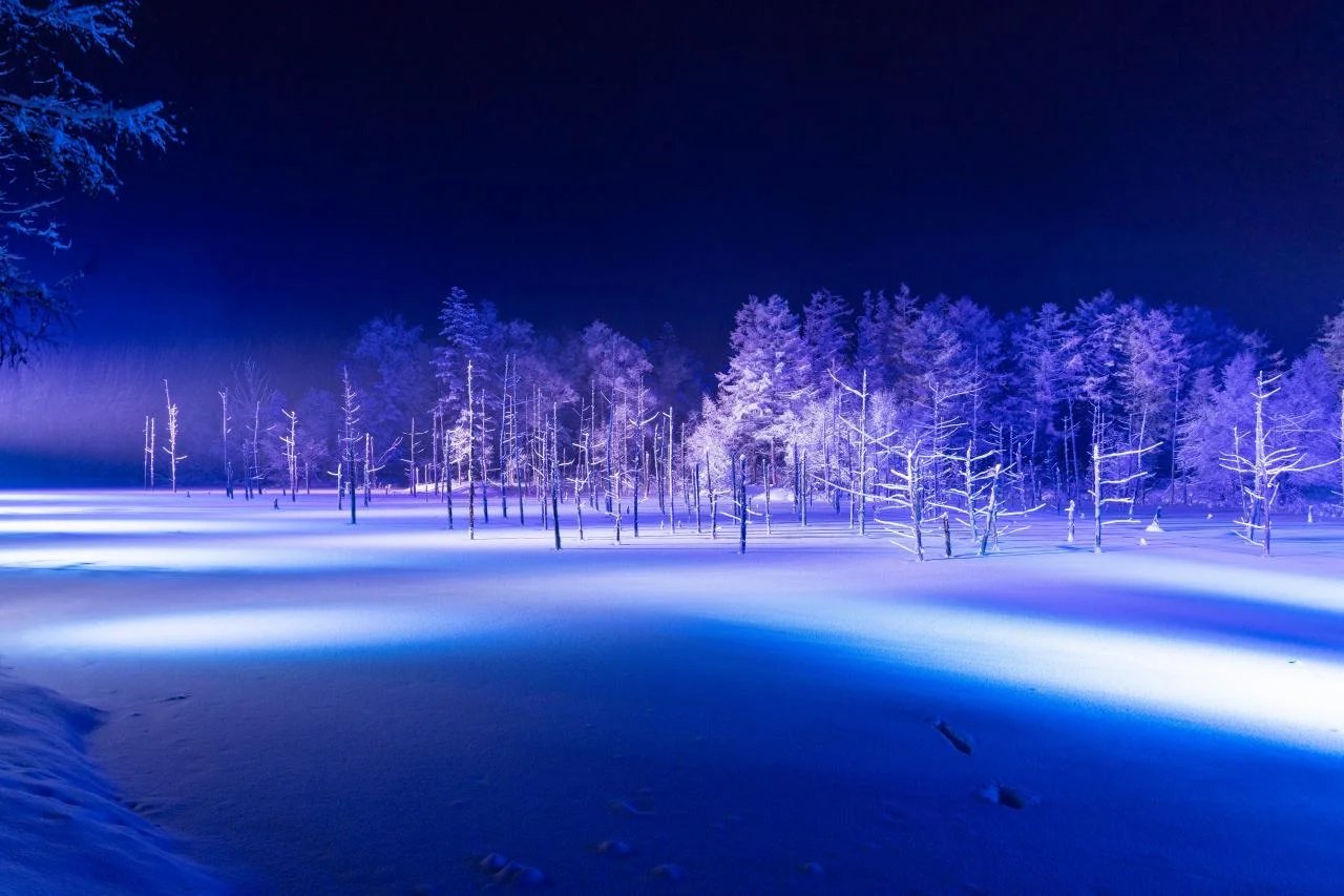 ถ่ายภาพกลางคืนบิเอะ