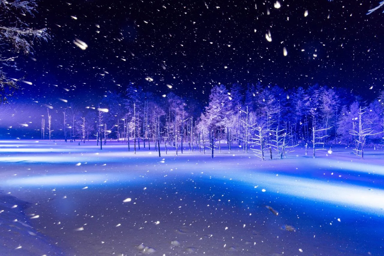 ไฟต้นคริสต์มาส