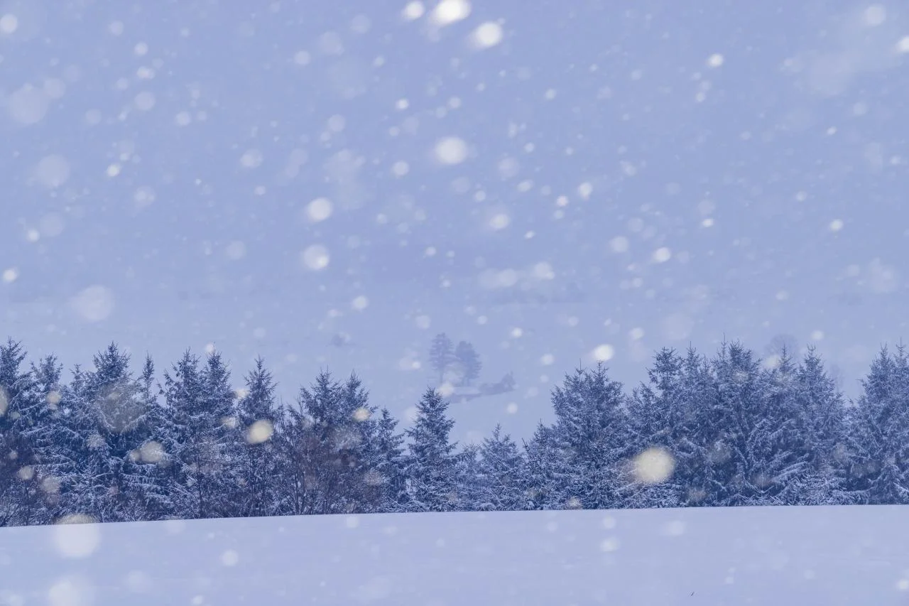 Blue Pond Light Up ฤดูหนาว