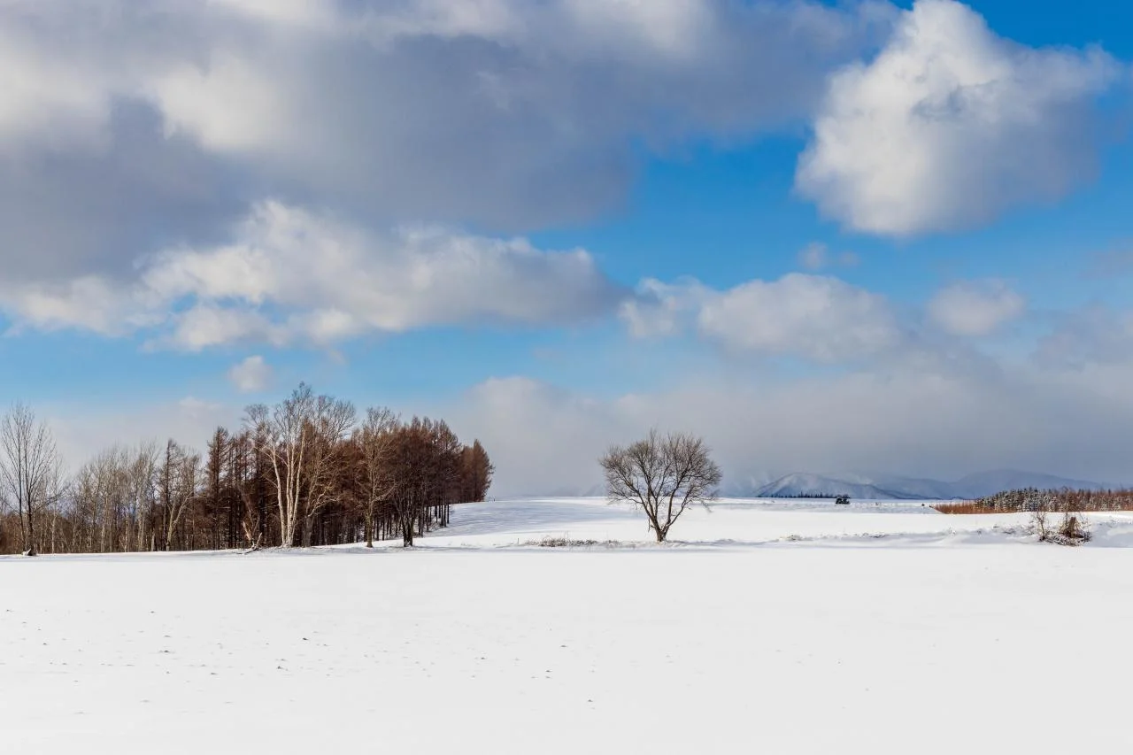 จุดถ่ายภาพหิมะ