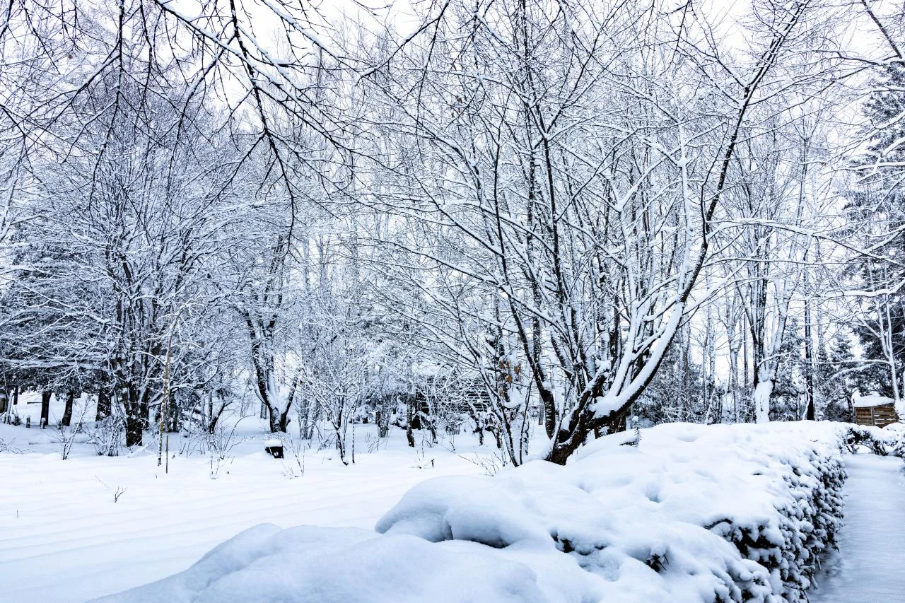 ภูเขาฟุราโนะ