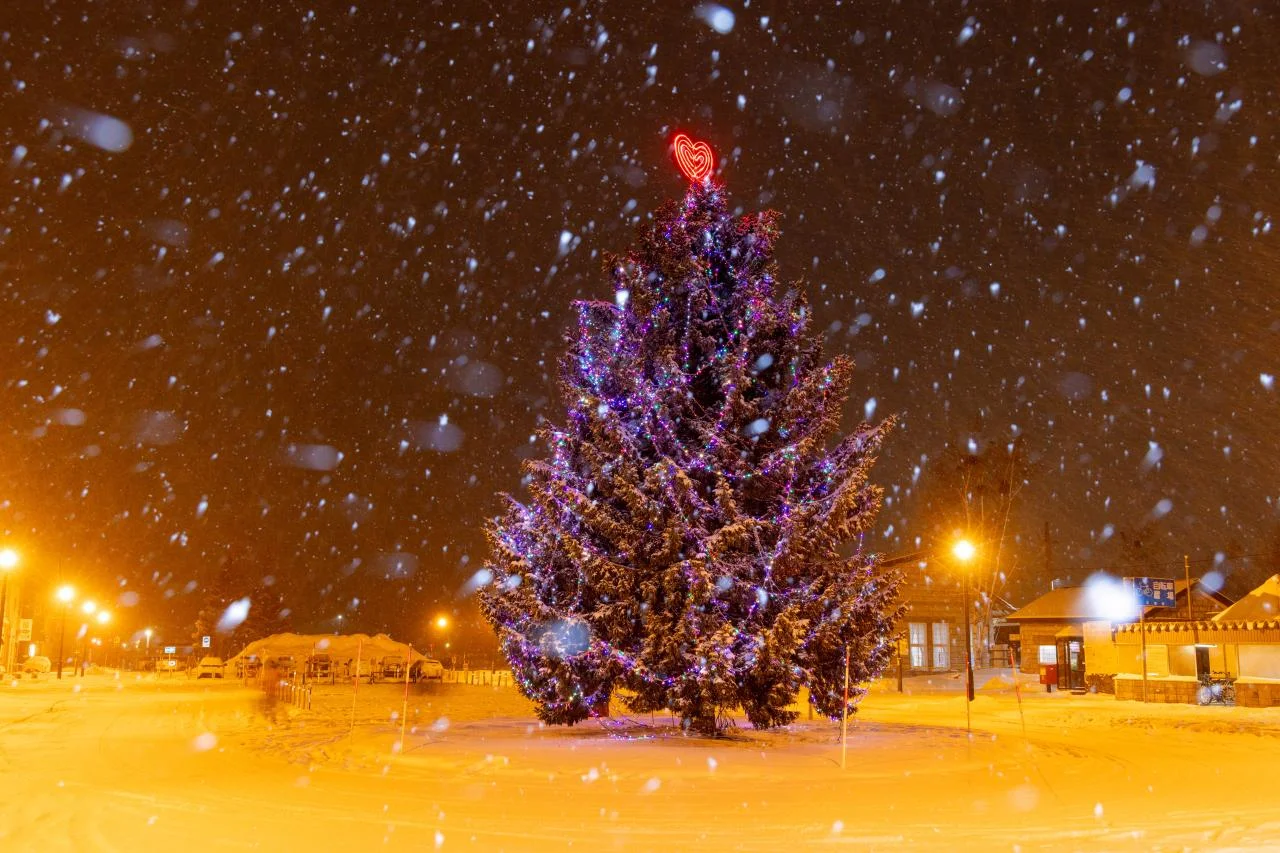 แกงกะหรี่ UNCLE PEPPERY