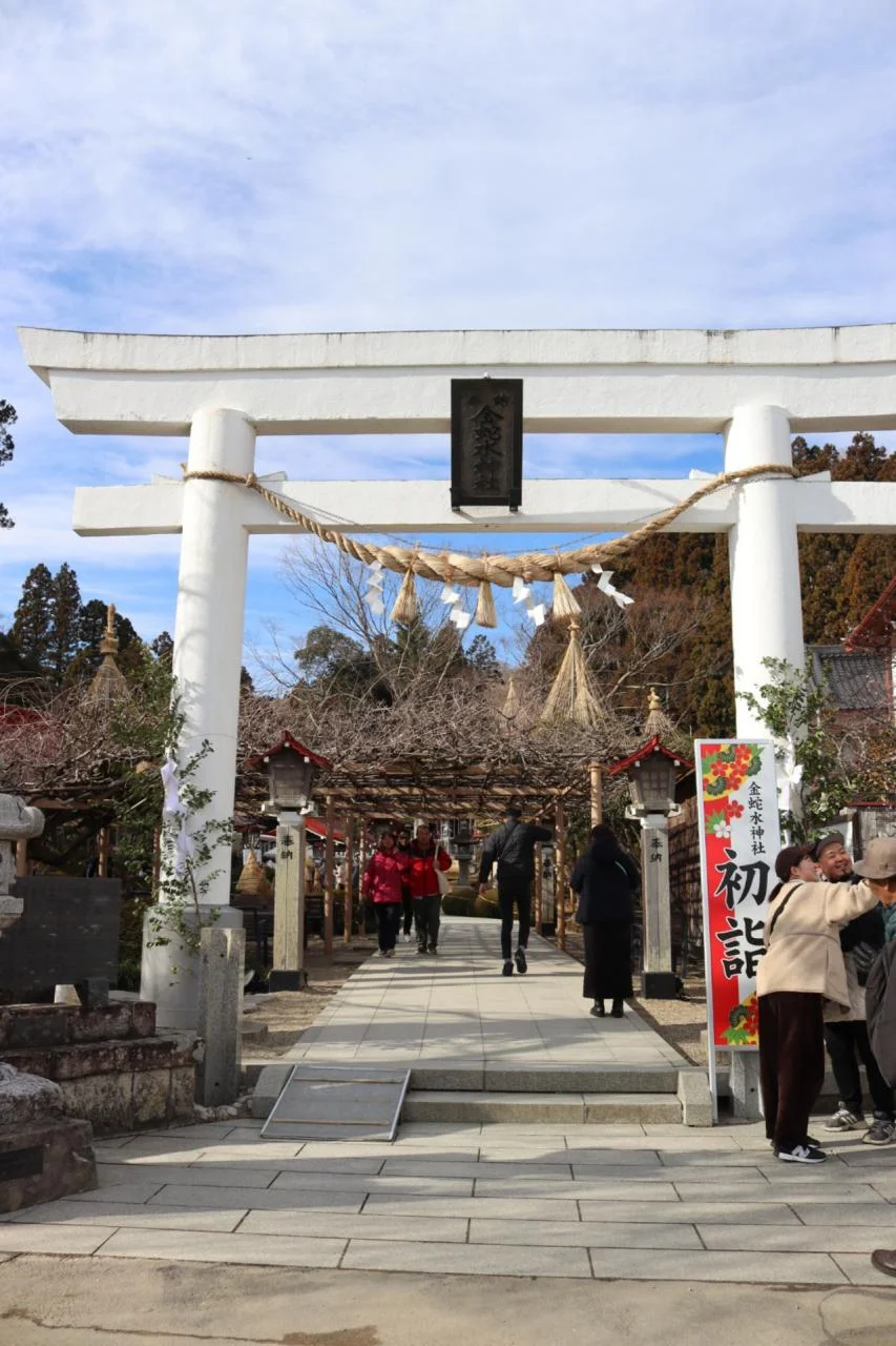 แกงกะหรี่ทองคำและนานรูปงู