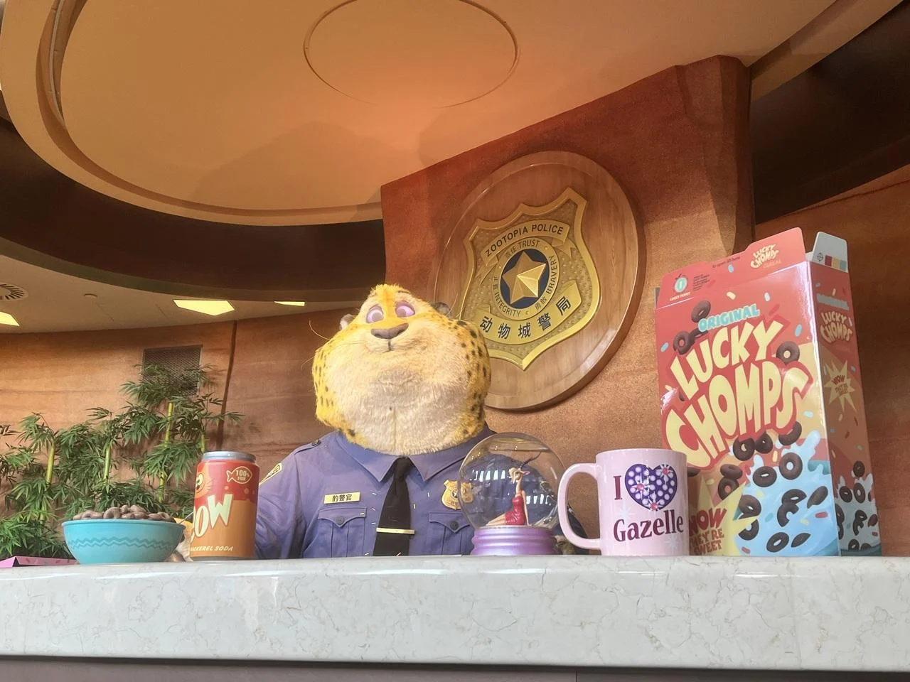 shanghai-disneyland-open-run-35