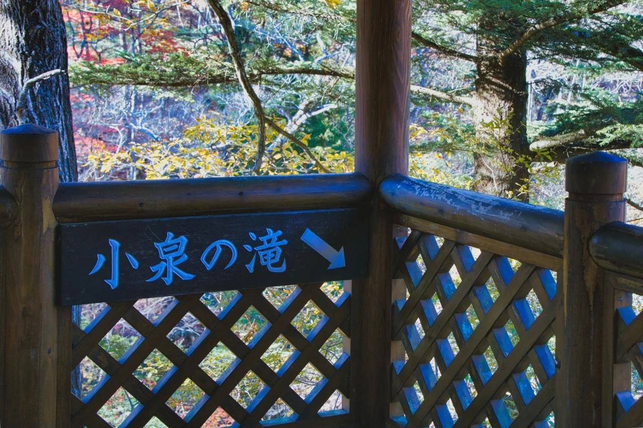 电动自行车 四万温泉《千与千寻》小镇夜景温泉体验