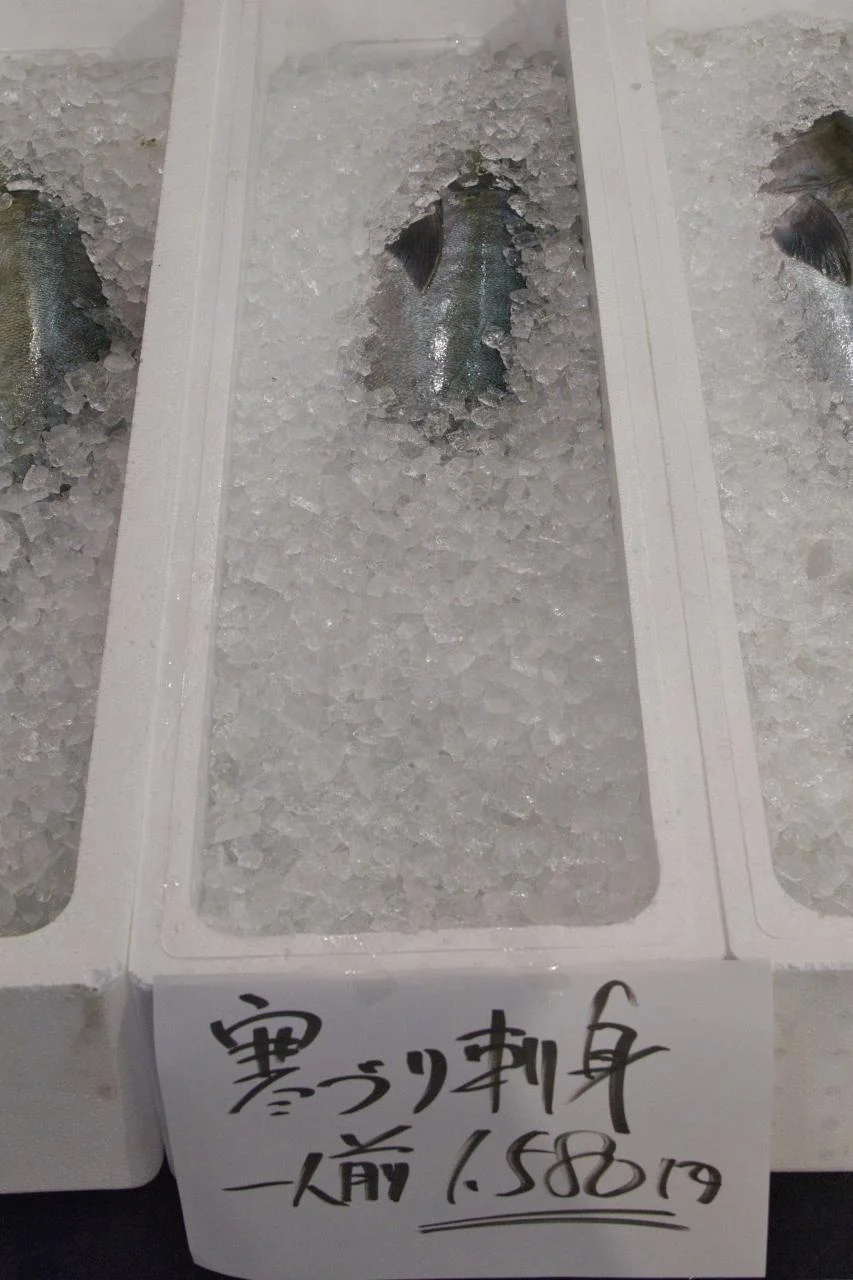 白川乡合掌造冬雪村落之旅-46