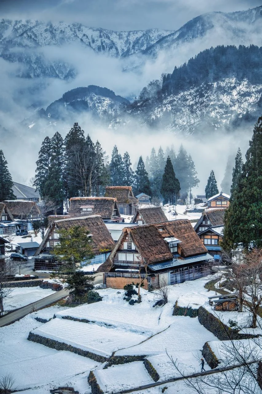 तोयामा में स्वादिष्ट भोजन