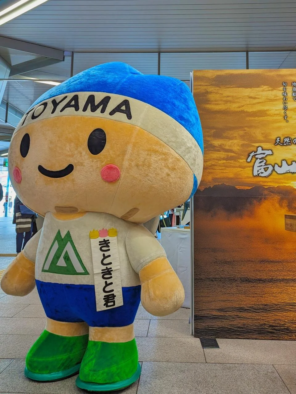 तोयामावान बॉल और साशिमी