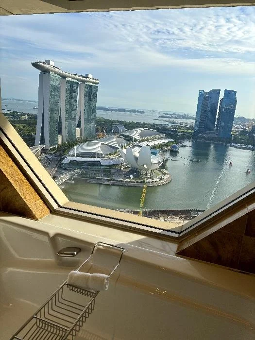 싱가포르항공 비즈니스 클래스 후기 SQ631 HND SIN 리츠칼튼 마리나 베이 샌즈 뷰