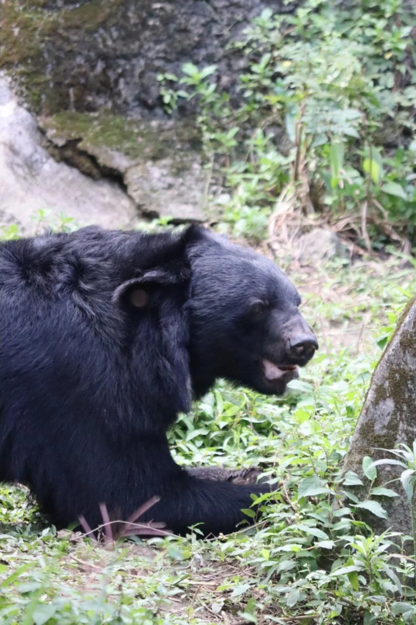 Taiwan native animal exhibit
