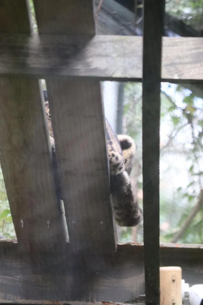 Animal information sign