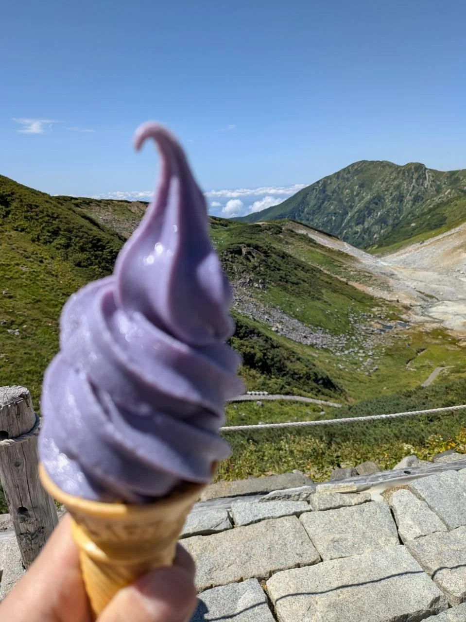 富山・立山アルペンルート雷鳥沢キャンプ場体験記 ホタルイカ天ぷらそば