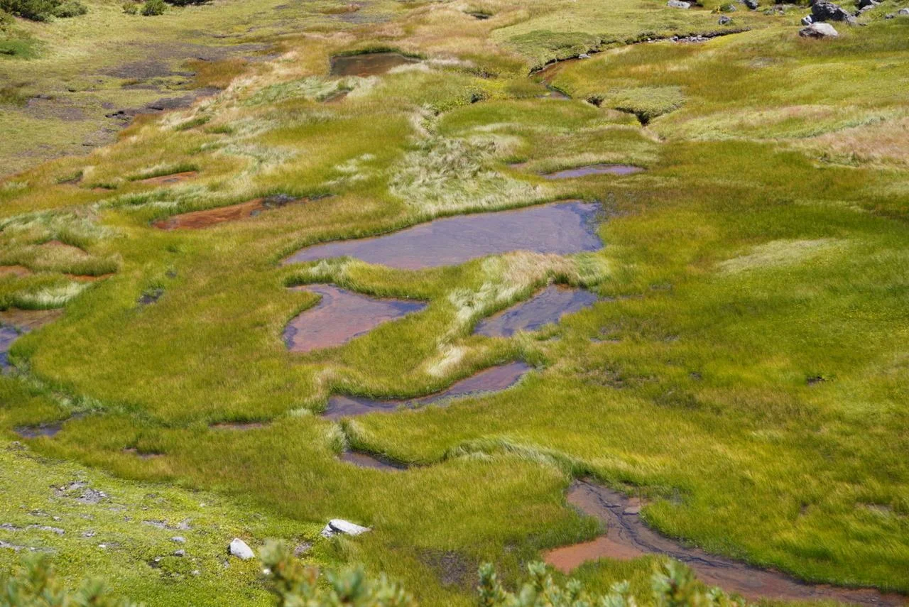 tateyama-alpen-route-raichosawa-campground-30