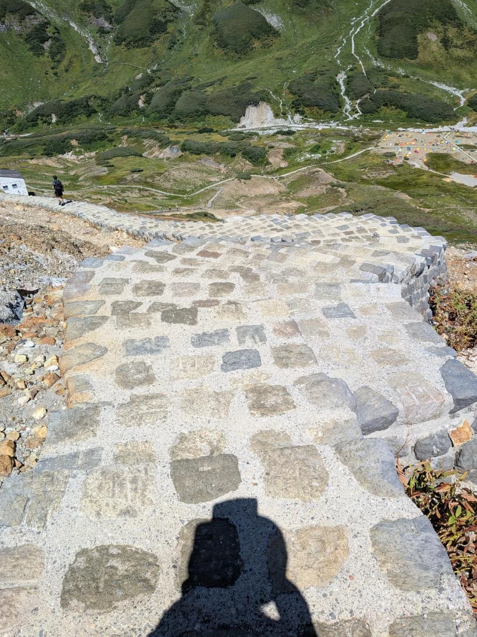 富山・立山アルペンルート雷鳥沢キャンプ場体験記 高山植物